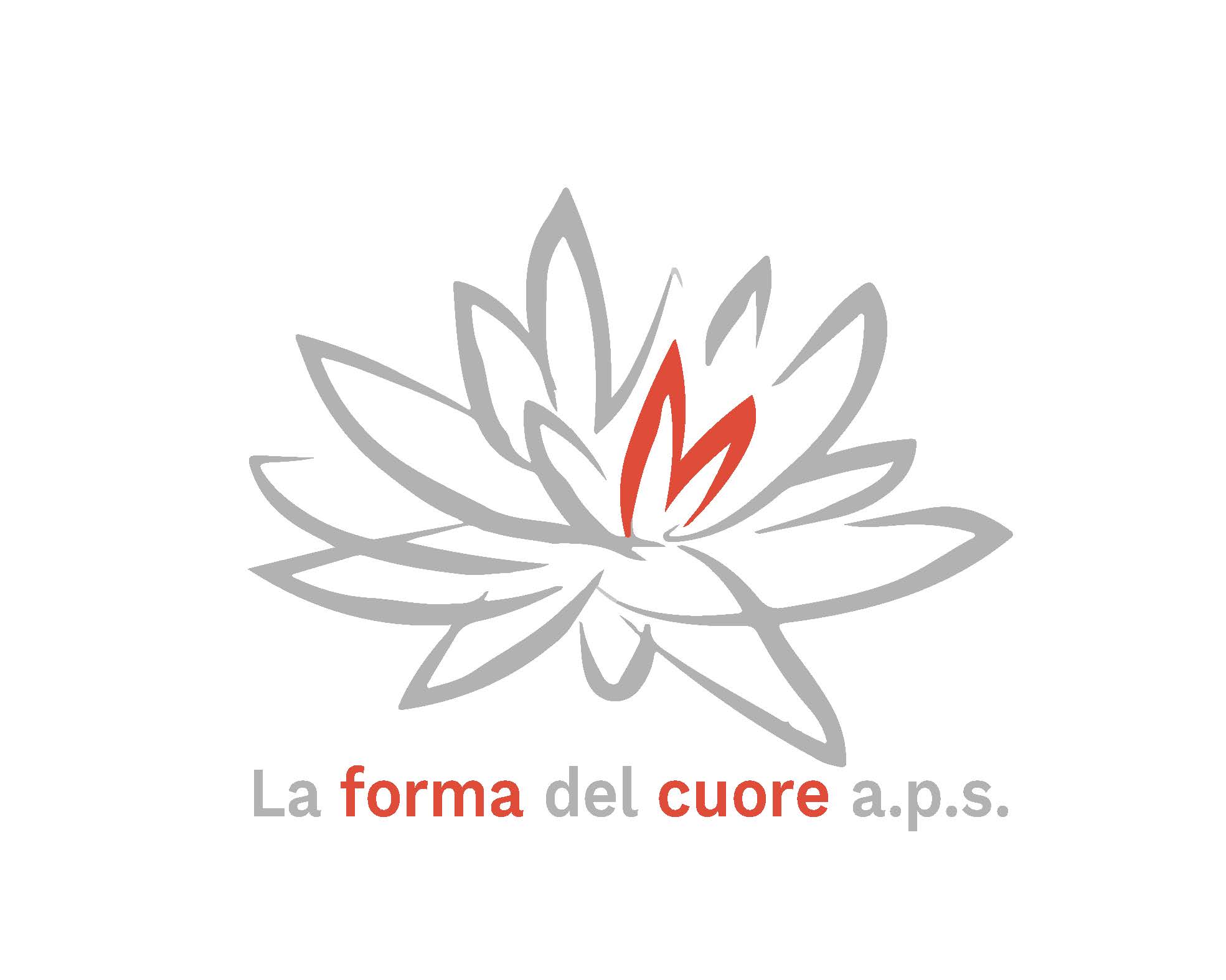 La Forma del Cuore